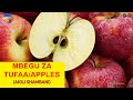 Mbegu za Tufaa (APPLE SEEDS) || AKILI SHAMBANI