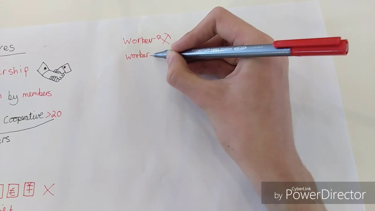 Cooperatives Youtube