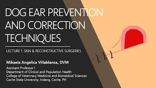 Lecture 1.3 Dog Ears and Correction Techniques
