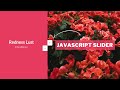 Vertical Image Slider Using HTML CSS & Javascript | Javascript Slider