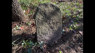 Duvall Cemetery Clean Up