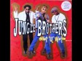 Jungle Brothers - What U Waiting 4 (Richie Firmie Motherman Mix) (HQ)