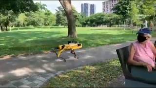 Roboterhund in Singapur patrouilliert in Park