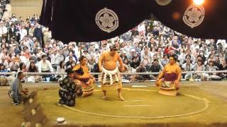 靖国神社  春季例大祭 奉納相撲 横綱白鳳 土俵入り 2016/4/18