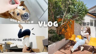 [VLOG] 알차게 연휴 보내기✊🏻 감자 분량 多多🥰ㅣ재택 프리랜서 편집자, 디오메르, 다이슨 에어랩, 머리서기 연습, 행궁동, 피크닉 도시락, 강아지 놀이터