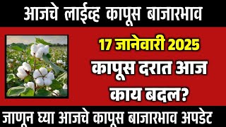 🔴कापुस भावात आज मोठे बदल / 17 जानेवारी 2025 कापूस बाजार / कापूस बाजारभाव / kapus bhav 2025