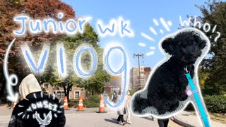 A Week as a Yonsei UIC Junior 💙 | 2022 Vlog