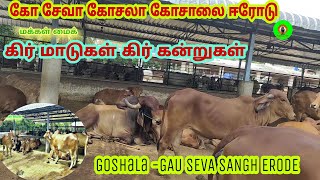 கோ சேவா கோசலா கோசாலை கிர் மாடுகள் கன்றுகள் வளர்ப்பு#GoshalaGauSevaSanghErode #makkalmic #livestock