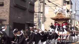 ［だんじり動画館］大阪市平野区 加美正覚寺 試験曳き