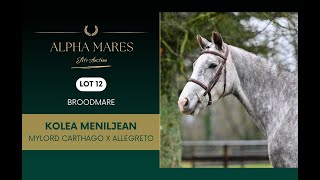 Alpha Mares Auction - Elite Broodmares - Lot 12