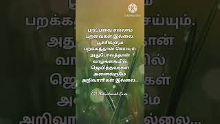 தோற்பவர்கள் அனைவரும் முட்டாள் இல்லீங்க #motivation #tamil #quotes