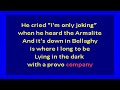Irish Brigade -  My Little Armalite (karaoke)