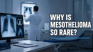 Inside a Mesothelioma Investigation: How Cases Are Built