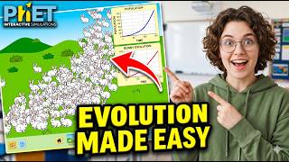 Natural Selection: PhET Simulation Lesson for Evolution