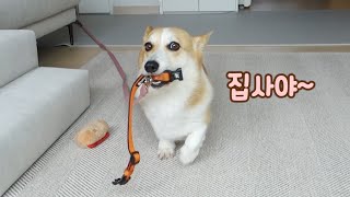 아리가 새로운 단어를 배웠어요! (너무 더운 날)