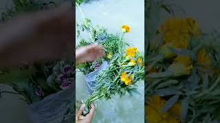 মাএ ৮০ টাকা দিয়ে শীতকালীন এতোগুলা ফুল গাছ 😱#tips #gardentips #garden #trendingshorts #gardeningtips