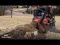 How Tree Stumps Are Removed | Art Insider