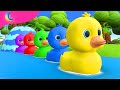 5 Little Ducks Song | BluLoo Nursery Rhymes & Kids Songs