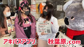 【取材】アキパス　クーポンアプリ　秋葉原.com × AkibaTV × アキバ大好き祭り