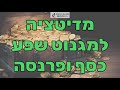 מדיטציה למגנוט שפע כסף ופרנסה ויזואליזציה חזקה