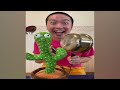 craziest sagawa1gou funny tiktok compilation try not to laugh watching cactus dance challenge