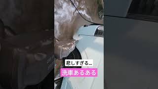 悲しすぎる洗車あるある…#short #shorts #ハイエース