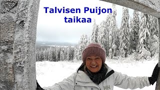 Seniorit seikkailee/Seniors adventure: Talvinen patikointi Puijolle/Winter hike to Puijo 6.1. 2022