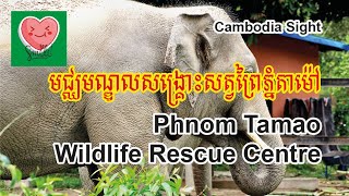 Phnom Tamao Wildlife Rescue Centre - មជ្ឈមណ្ឌលសង្គ្រោះសត្វព្រៃភ្នំតាម៉ៅ