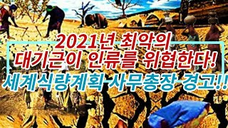 2021년 최악의  대 기근이 인류를 위협한다!! 세계식량계획 사무총장 경고!!