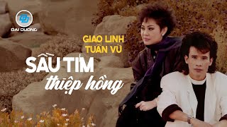 Sầu Tím Thiệp Hồng (Tuyển Tập) | Tuấn Vũ, Giao Linh | Tình Ca Nhạc Vàng