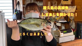 屋久島高級魚しまあじはどうなる？