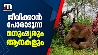 ജീവിക്കാൻ പോരാടുന്ന മനുഷ്യരും ആനകളും; ആനത്താരയിലെ അതിജീവന പോരാട്ടം| Mathrubhumi News