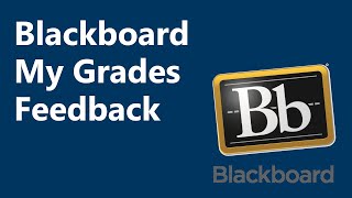 Blackboard "My Grades" Feedback