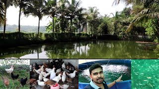 മൂന്ന് ഏക്കർ സ്ഥലത്തെ കൃഷിയിടം  A one fish farm