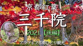 京都紅葉2021🍁【三千院・後編】カラフルな紅葉と杉木立に囲まれのんびりと過ごすアラフィフ女性の女ひとり旅！（Kyoto Japan）