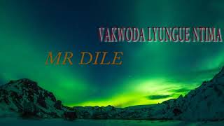 MR DILE-MAKWODA LYUNGUE NTIMA( AUDIO Oficial) MUSICA MAKONDE