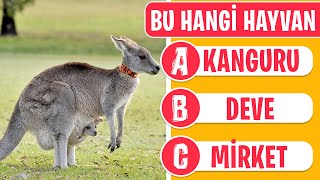 RESİMDEKİ HAYVANI TAHMİN ET 🐸🦊: Hayvan Bulmaca Yarışması! | Hayvan Bilgini TEST ET!