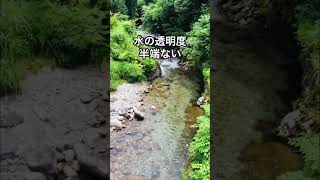 板取の豊かな自然に癒される #岐阜県 #板取川 #高賀川 #モネの池 #shorts