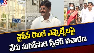 వైసీపీ రెబల్ ఎమ్మెల్యేలపై నేడు మరోసారి స్పీకర్ విచారణ | YCP, TDP Rebel MLAs - TV9