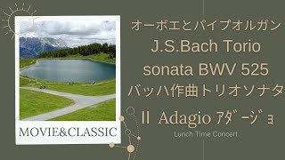 【Ⅱ Adagio ｱﾀﾞｰｼﾞｮ J.S.Bach Torio sonata BWV 525バッハ作曲　トリオソナタ】オーボエとパイプオルガンのランチタイムコンサート