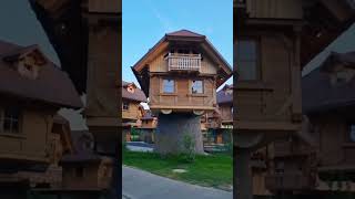 Treehouse Village in Germany | #weathereuphoria #relaxingshorts #treehousevillage #scenic