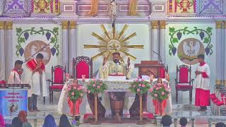 Holy Mass Live @7.15AM /16/01/2025//From Basilica Of Our Lady Of Snow, Palliport