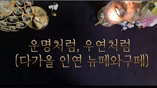 운명처럼, 우연처럼 (다가올 인연  뉴페와 구페)