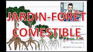 JARDIN-FORET COMESTIBLE / PERMACULTURE