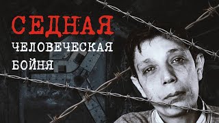 Седная | Человеческая бойня