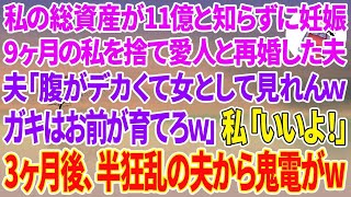 【スカッと総集編】私の総資産が11億と知らず妊娠9ヶ月の私を捨て社長令嬢と再婚した夫「腹がデカくて女として見れんガキはお前が育てろ」私「いいよ！はい、離婚届け！」3ヶ月後、半狂乱の夫から鬼電が