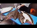 Amazing Flounder Cutting Skill, Luxurious Sashimi Donburi / 精彩的！比目魚切割技巧, 豪華海鮮蓋飯-黑鮪魚, 鯛魚, 鮭魚, 干貝生魚片