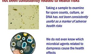 Dampness and Mold: Science-Based Advice for Housing Code Enforcement