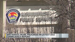 APD celebrates reform progress, but monitor indicates the work isn't done