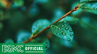 Calming Rain Forest Soothing - Healing Piano Instrumental Music for Deep Sleep, Rest, Meditate